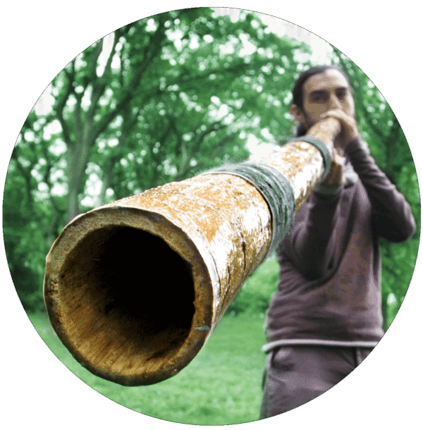 aj-yucca-central-park-circle