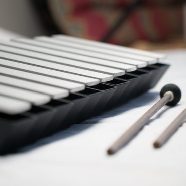 Mallet Harp: Portable 11-Note Xylophone