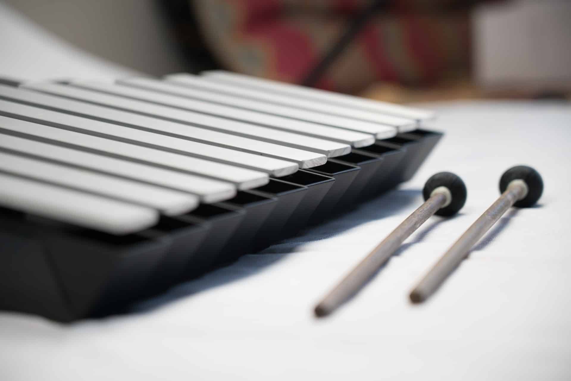 Mallet Harp: Portable 11-Note Xylophone - Image 2