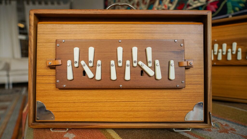 Shruti Box by Monoj Kumar Sardar & Bros. Didge Project