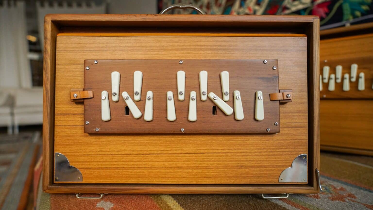 Shruti Box by Monoj Kumar Sardar & Bros. Didge Project