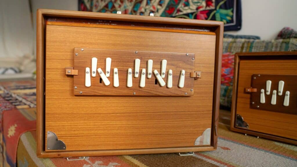 Shruti Box by Monoj Kumar Sardar & Bros. Didge Project