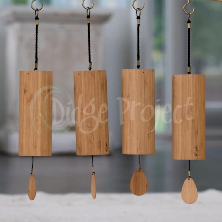 Travel Didgeridoo with Padded Carrying Bag Lightweight and Versatile