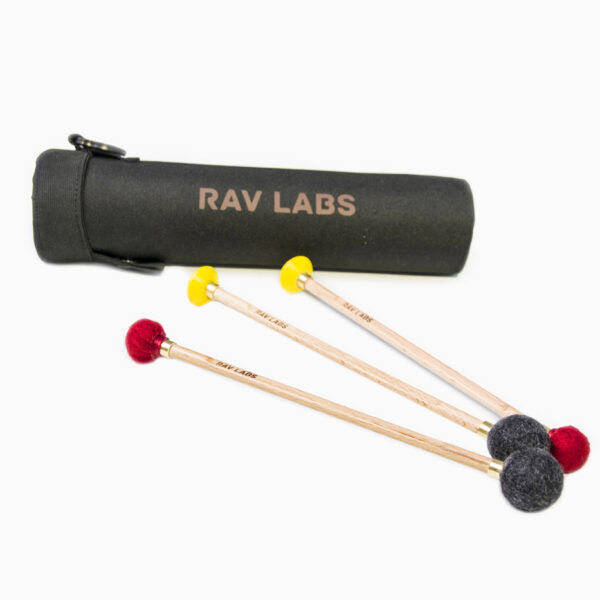 RAV Drum (aka RAV Vast) Metal Tongue Drum: Various Scales - Optional $100 off Hardshell Case