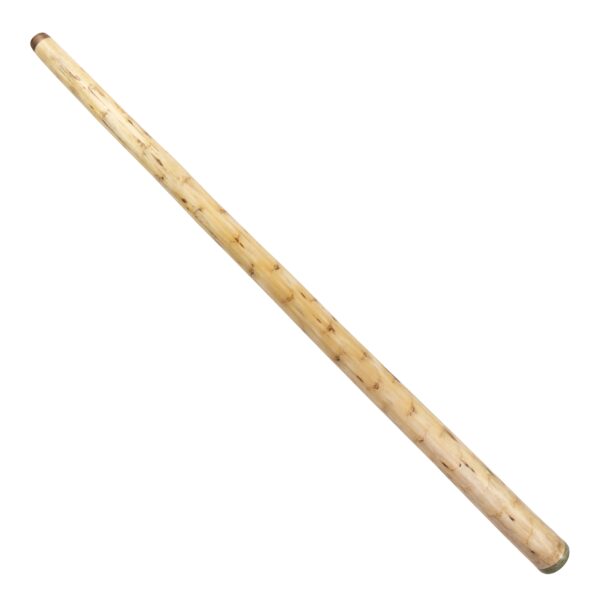 sam-david-yucca-didgeridoo