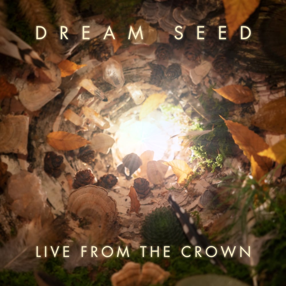 dream seed live from the crown
