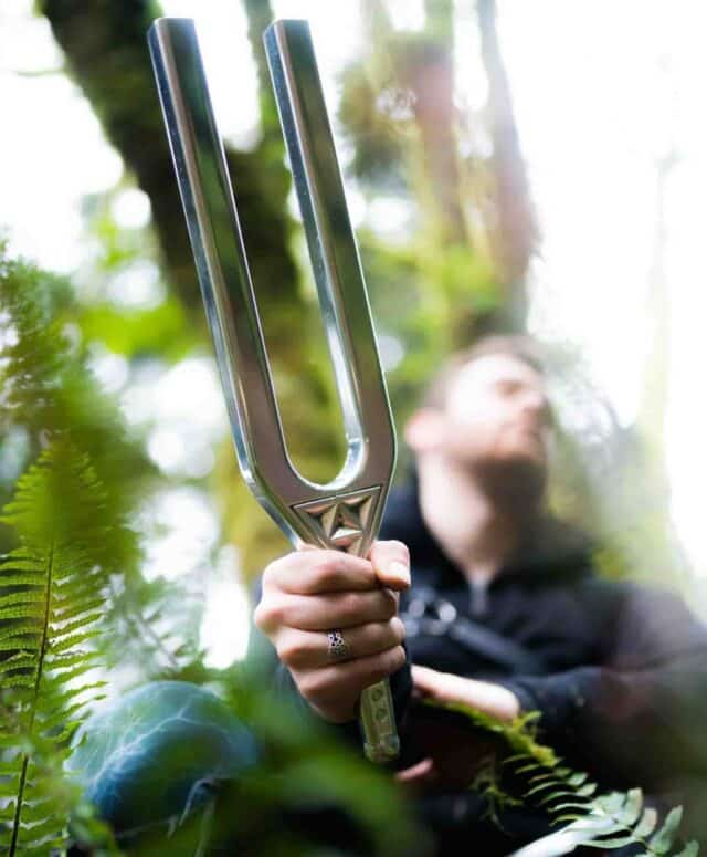 Mega Tuning Fork by Earth Tuned Didge Project