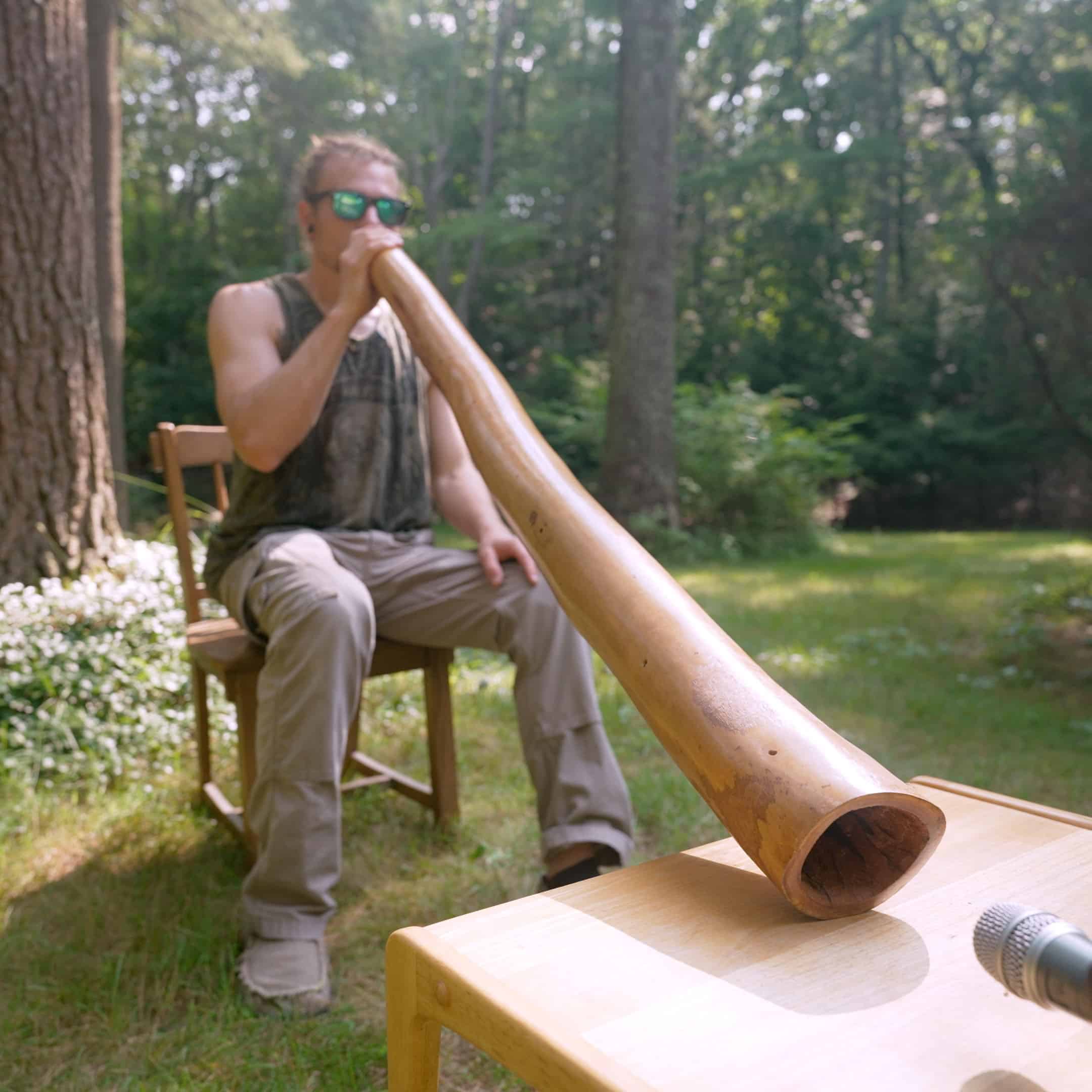 Aboriginal-Made Eucalyptus Didgeridoos & Other Hardwood Didgeridoos - Image 12