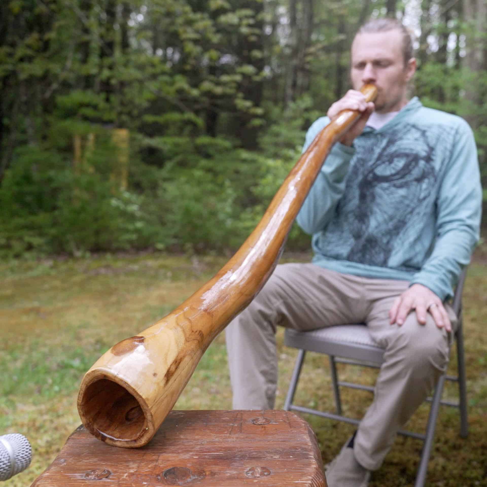 Aboriginal-Made Eucalyptus Didgeridoos & Other Hardwood Didgeridoos - Image 24