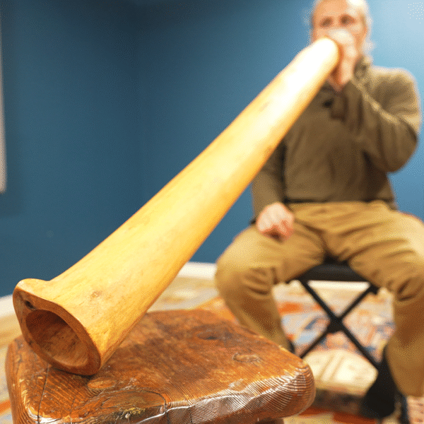 78. Fendrock D-sharp