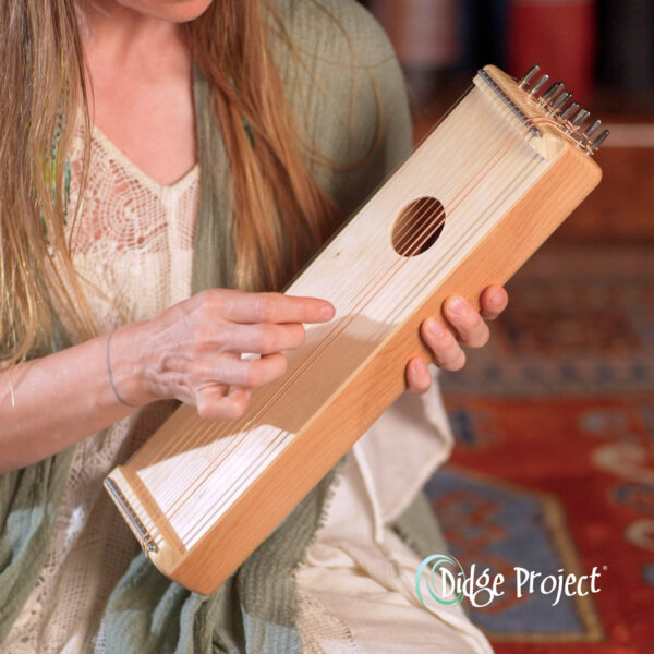 minichord monochord solstice didge project
